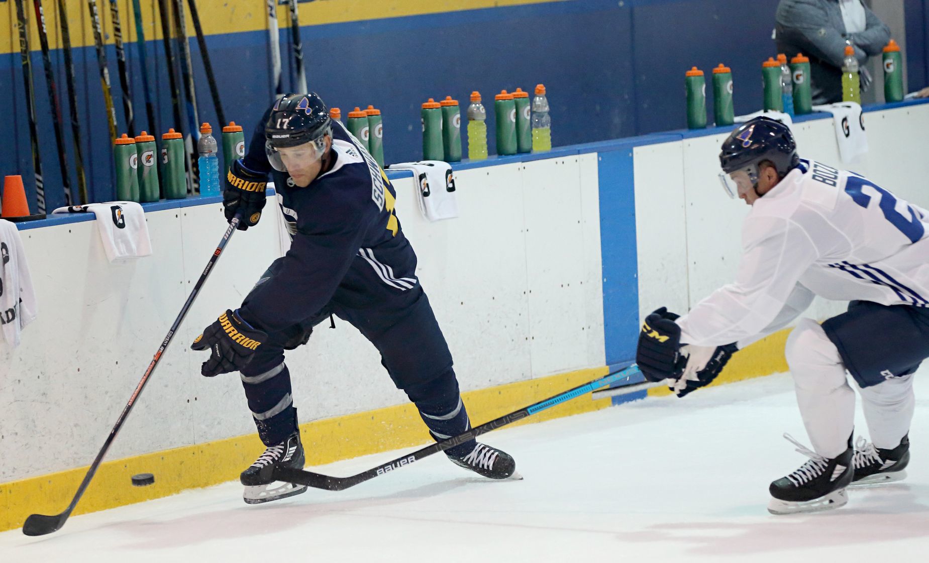St. Louis Blues 2018-19 training camp